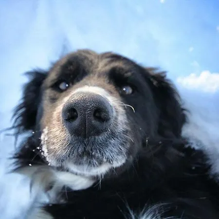 Apartament Ferienhof-gerda-ferienwohnung-storchennest