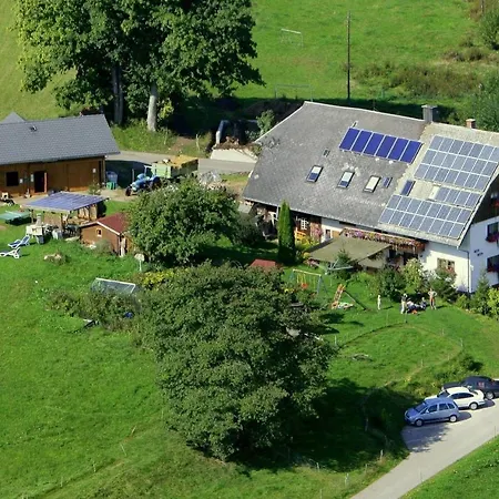 Apartment Ferienhof-gerda-ferienwohnung-storchennest Oberkirnach